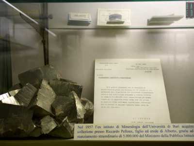La galleria comprende due raccolte: la �Alberto Pelloux� e la �Garavelli�. La prima (che conta 10mila campioni) � quella dedicata al mineralogista di Crema vissuto agli inizi del 900
